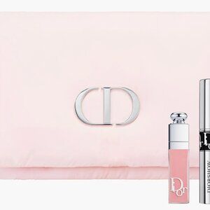 Dior cosmetic bag